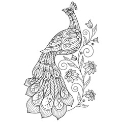 Peacock and ivy leaf hand drawn for adult coloring book