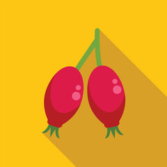 Two ripe rose hips hanging from branch on yellow background with long shadow