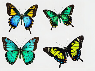 Obraz premium Set of butterflies isolated