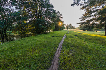 A path through a grassy field with a sun shining on it