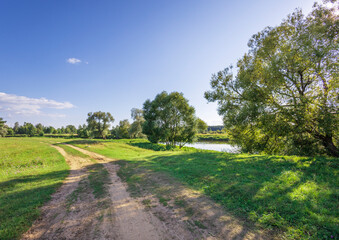 A dirt road leads to a grassy field with a small pond
