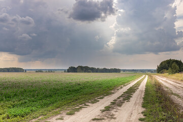 Naklejka premium landscape with road and clouds