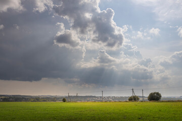 A field of grass with a cloudy sky in the background © Sergei