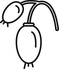 Honeysuckle growing with hanging berries line icon, plant growing concept