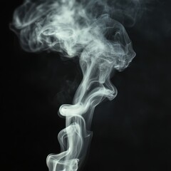 Abstract swirling white smoke rising against a black background.