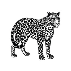 Leopard Silhouette Vector