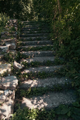 An old concrete gray staircase in the middle of bright summer greenery in the park, view from below.