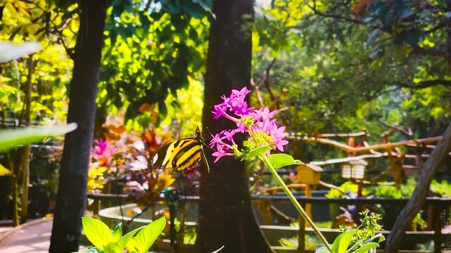 Borboleta voando na flor