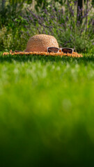 A straw hat with white sunglasses lies on green grass, surrounded by blooming purple flowers, capturing a serene summer day outdoors.