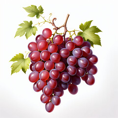 Fototapeta premium Grape on white background