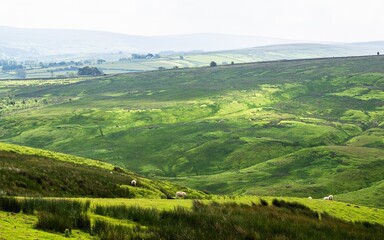Farms over North Pennines, Cumbria, Durham, Northumberland, North Yorkshire, England
