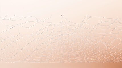 Naklejka premium Delicate Spiderweb Glimmering in Morning Light Against Soft Background