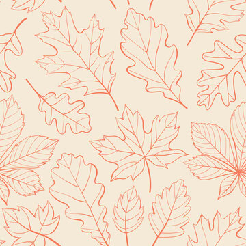 Oak, maple, chestnut leaves outline seamless pattern. Autumn or spring leaves in doodle style. Vector monochrome red foliage contour on beige background for wrapping paper, wallpaper, and fabric.