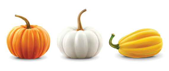 Realistic pumpkins set isolated background, vector realistic, autumn illustration, hello autumn vector	