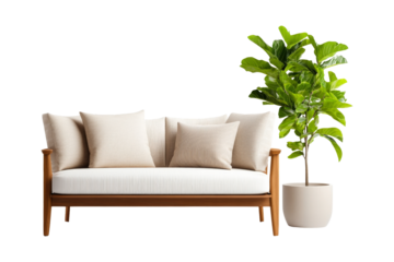 Modern White Sofa with Wooden Frame and Green Plant