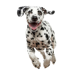 Energetic Dalmatian Running &ndash; Joyful Spotted Dog in Motion PNG