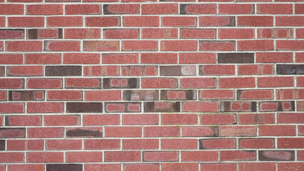 Delicious bowl of beef tripe soup with fresh bread on wooden table close up