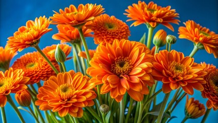 Vibrant orange blooms surrounded by lush green stems pop against a soothing blue background in this stunning close-up of a fresh floral arrangement.