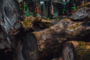 Pile of wood product display for presentation design. Natural log wood podium table.
