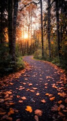 Obraz premium Fall forest trail, vibrant colors, lush scenery, dynamic action, inviting