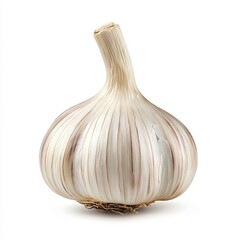 Clove of garlic isolated on white, clipping 