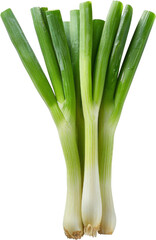 Fresh green onions bunch isolated on white background. Cleaned and ready to use for cooking or garnishing. High quality culinary ingredient.