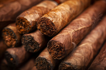 Luxury cigars. Collection of premium rolled cigars. Concept of smoking and nicotine addiction