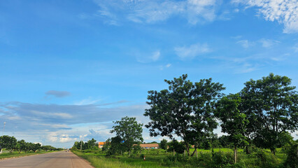 A serene rural roadside lined with trees under a clear blue sky