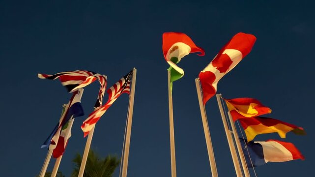 Video of an international flags waving against evening sky