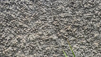 Textured concrete wall surface for background and texture