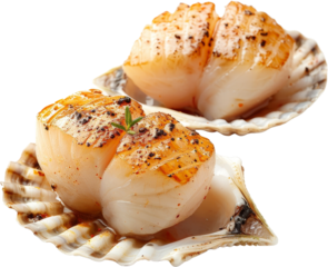 Delicious seared scallops served in their shells, garnished with seasoning and fresh herbs. Perfect for gourmet food presentations.
