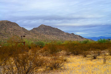San Tan Mountains Sonora Desert Arizona