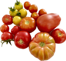 Different red, orange and Yellow tomatoes, isolated