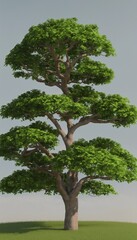 3D Render of a Tall Sweet Acacia Tree on a Lush Green Field, Detailed Acacia Anatomy Atlas, Gray Background