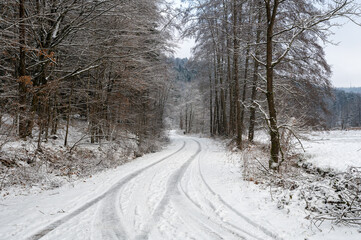 Field path  with trees and snow