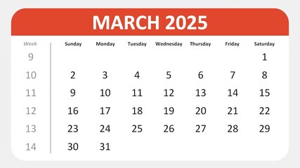 March 11, 2025: Animated 2025 planner showcasing March calendar, highlighting March 11th with space for tasks, notes, and to-do lists.