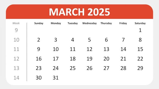 March 11, 2025: Animated 2025 planner showcasing March calendar, highlighting March 11th with space for tasks, notes, and to-do lists.