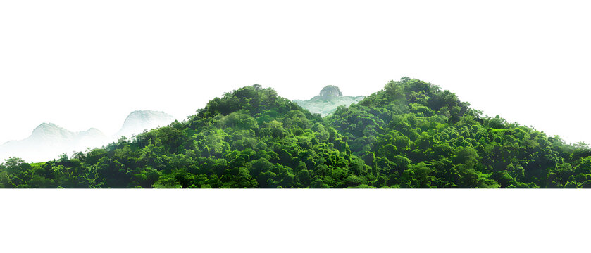 mountain range with lush green trees isolate on white background