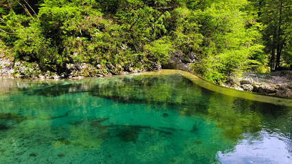 Vintgar Gorge, Slovenia, in bright spring day