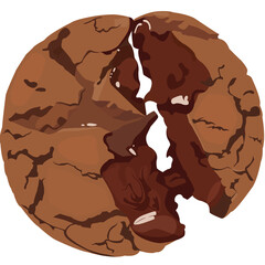 Double chocolate chip cookies.