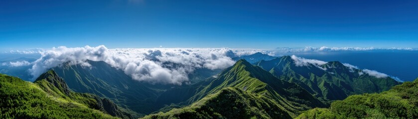 Obraz premium Stunning panoramic view of lush green mountains under a clear blue sky and fluffy white clouds, perfect for nature enthusiasts.