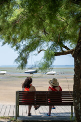 Andernos (bassin d'Arcachon, France). Banc public à l'ombre d'un tamaris au bord de la plage à marée basse