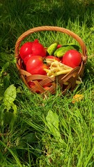 Red tomato, natural, food, garden