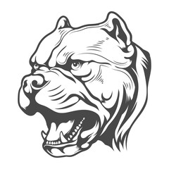 Pitbull Dog angry look like tiger vector design