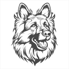 German Shepherd Dog look like lion hair vector design