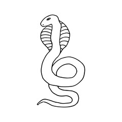 Snake, reptiles, scaly. Reptile. Doodle. Vector illustration. Hand drawn. Outline.