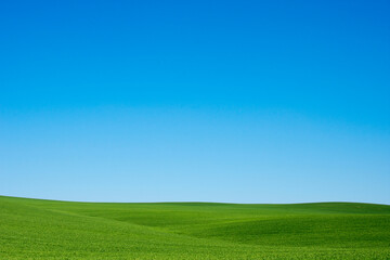 A serene and expansive green grass field stretches under a bright blue sky offering a peaceful natural backdrop.