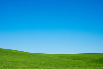 A serene and expansive green grass field stretches under a bright blue sky offering a peaceful natural backdrop.