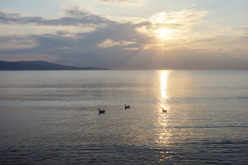 Obraz premium Sunset on the sea beautiful natural background.