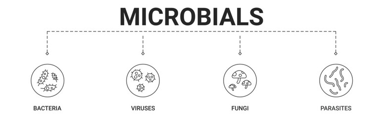 Microbials banner include bacteria, viruses, fungi, parasites icon vector concept © Arif
